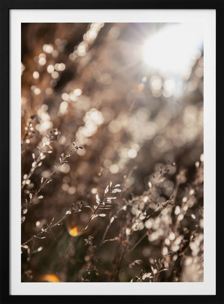 Warmes Winterlicht 6 | Poster