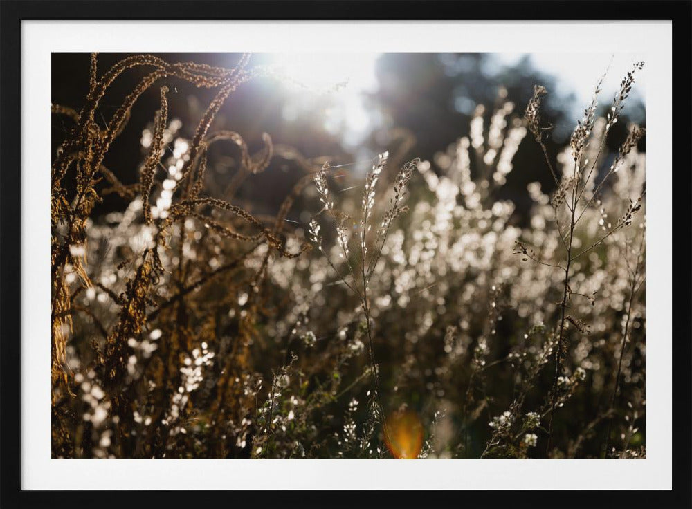 Warmes Winterlicht 7 | Poster