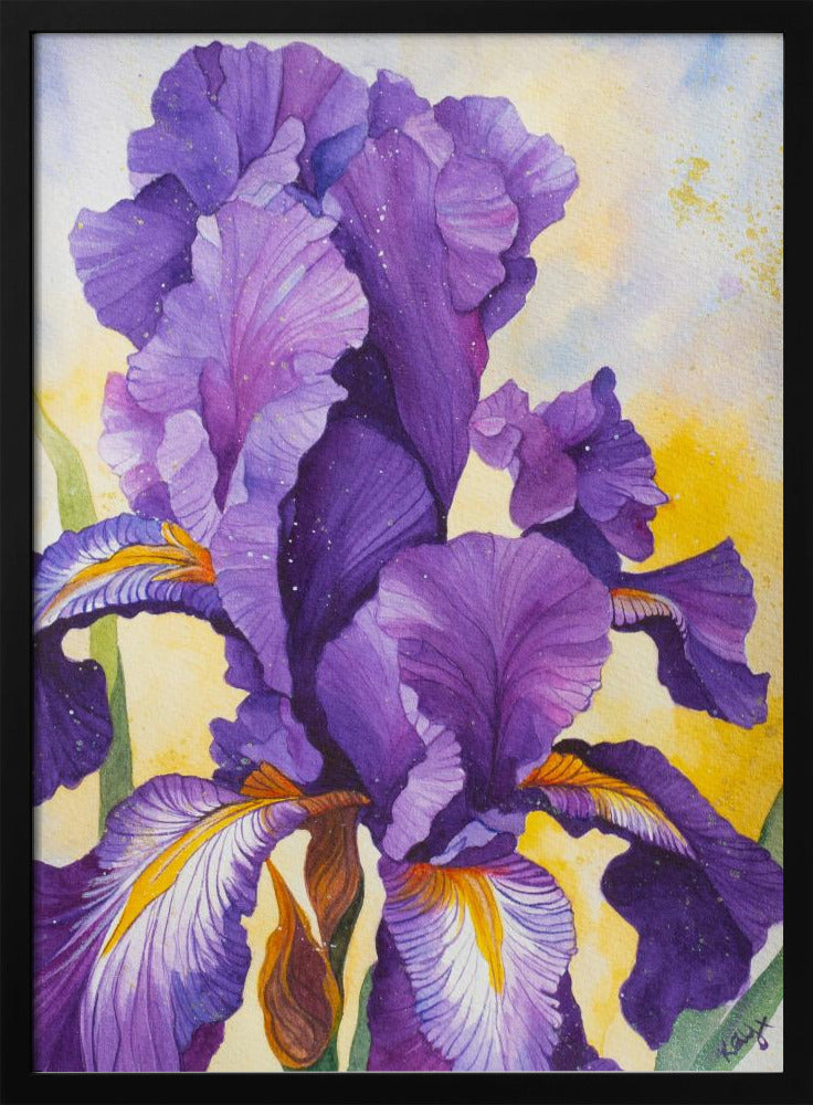 Iris Aquarell | Poster