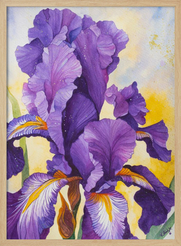 Iris Aquarell | Poster