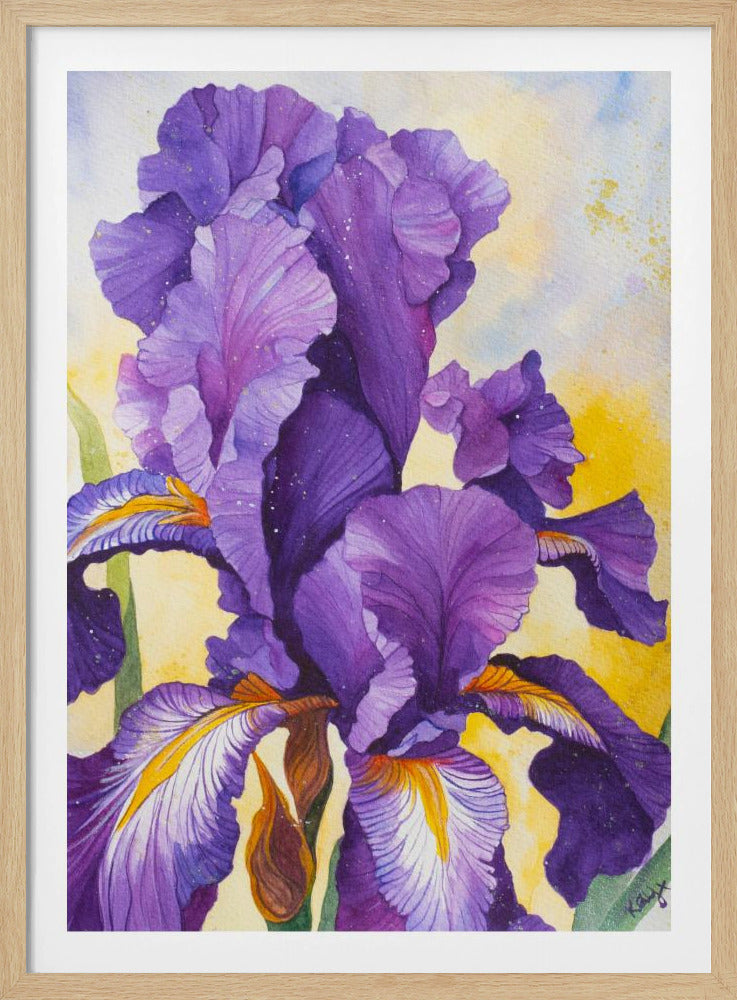 Iris Aquarell | Poster