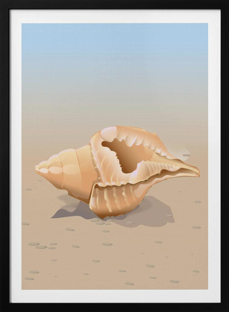 Muschel am Meer | Poster
