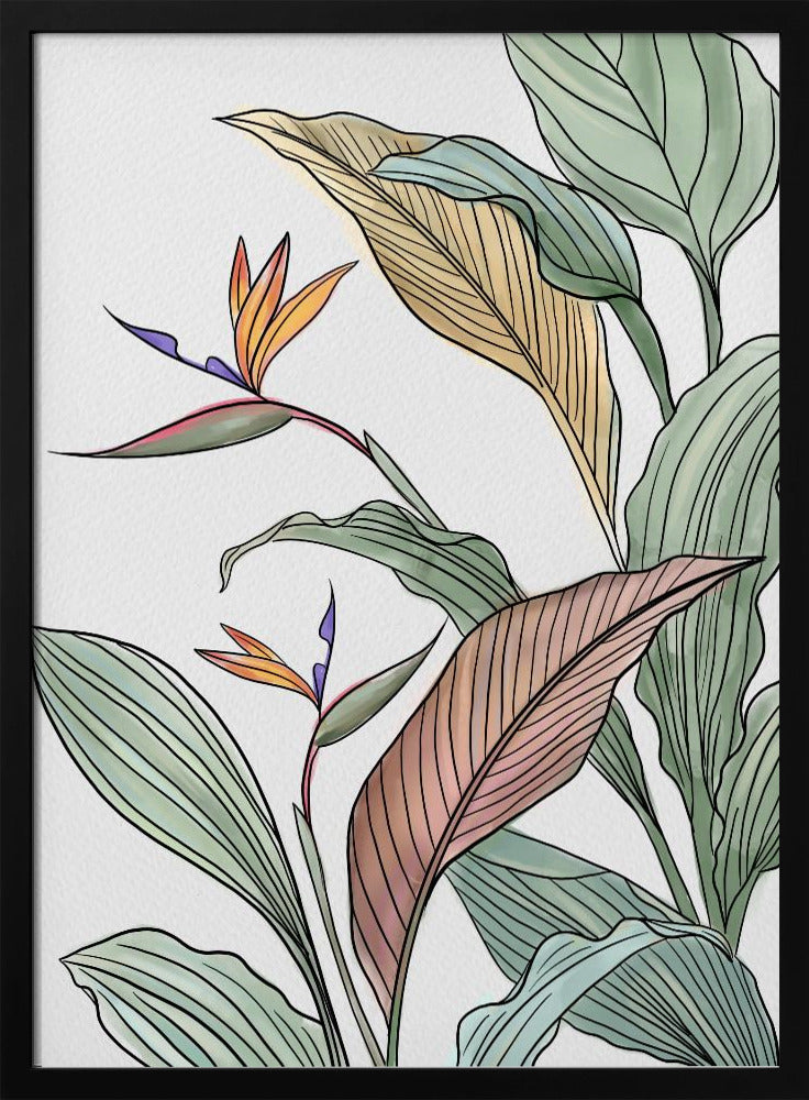 Vögel des Paradieses | Poster