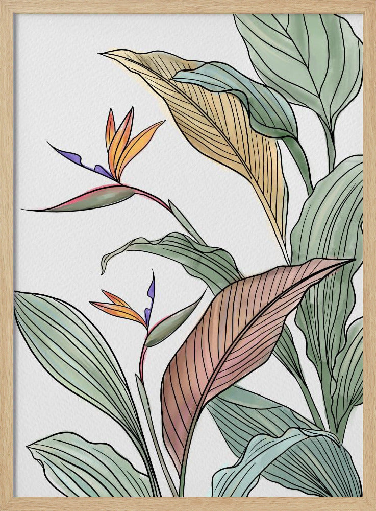 Vögel des Paradieses | Poster