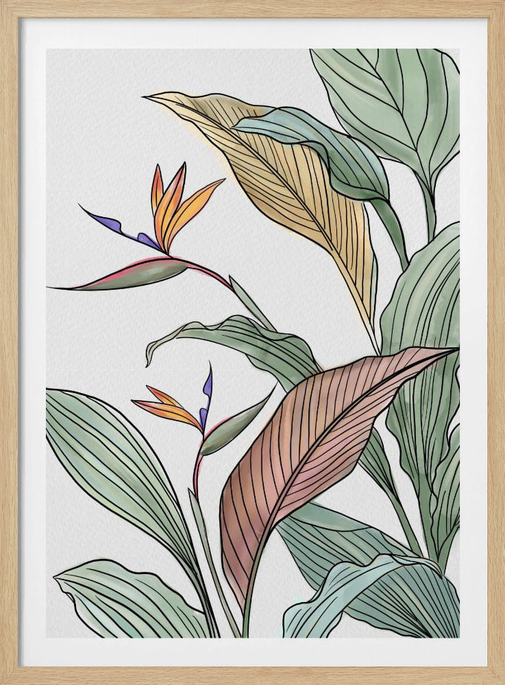 Vögel des Paradieses | Poster