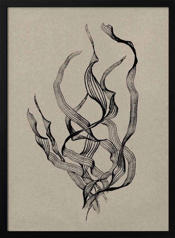 Zart | Poster