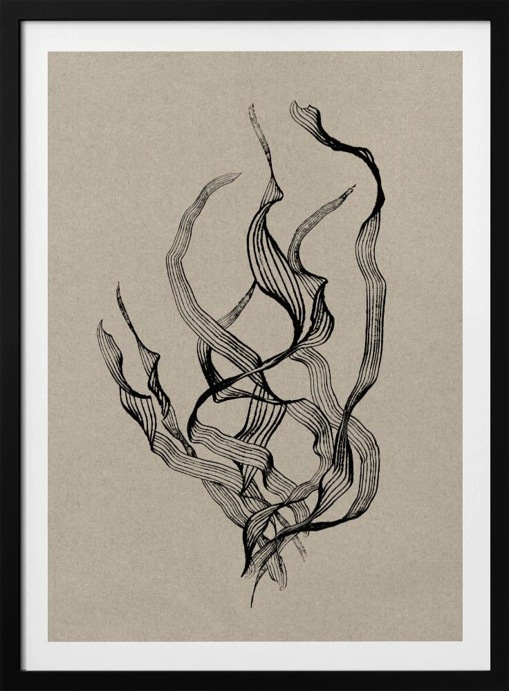 Zart | Poster