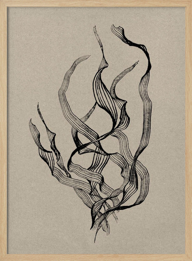 Zart | Poster
