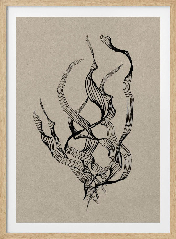 Zart | Poster