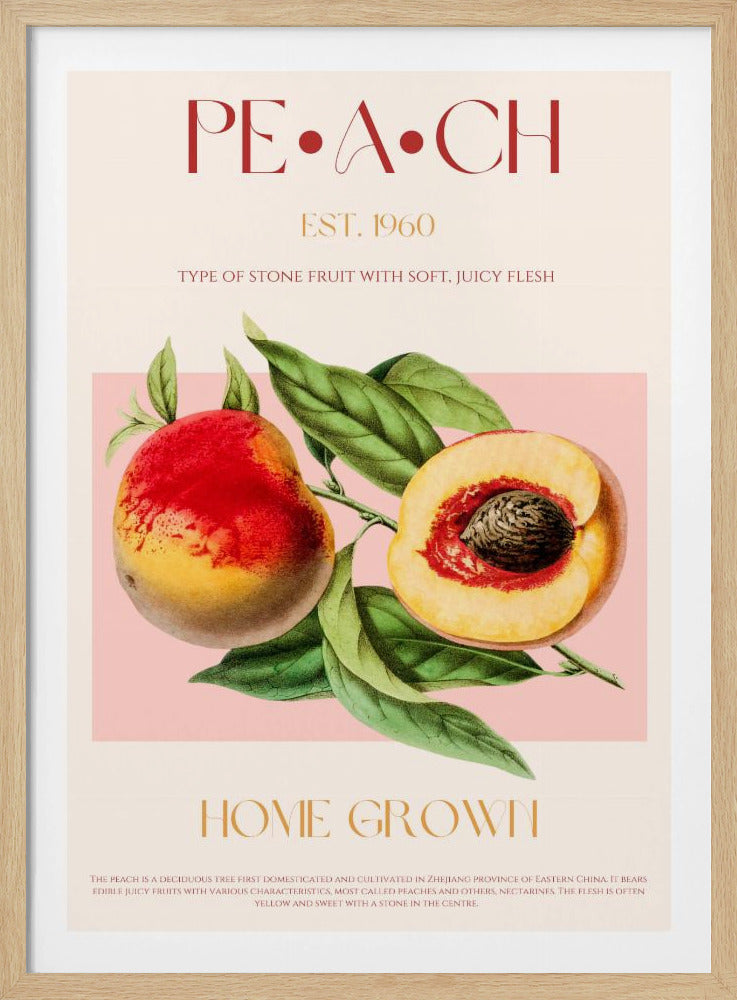 Pfirsich-Illustration im Vintage-Stil | Poster