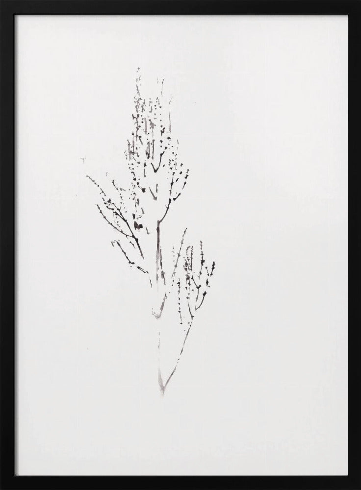 Pflanzen | Poster
