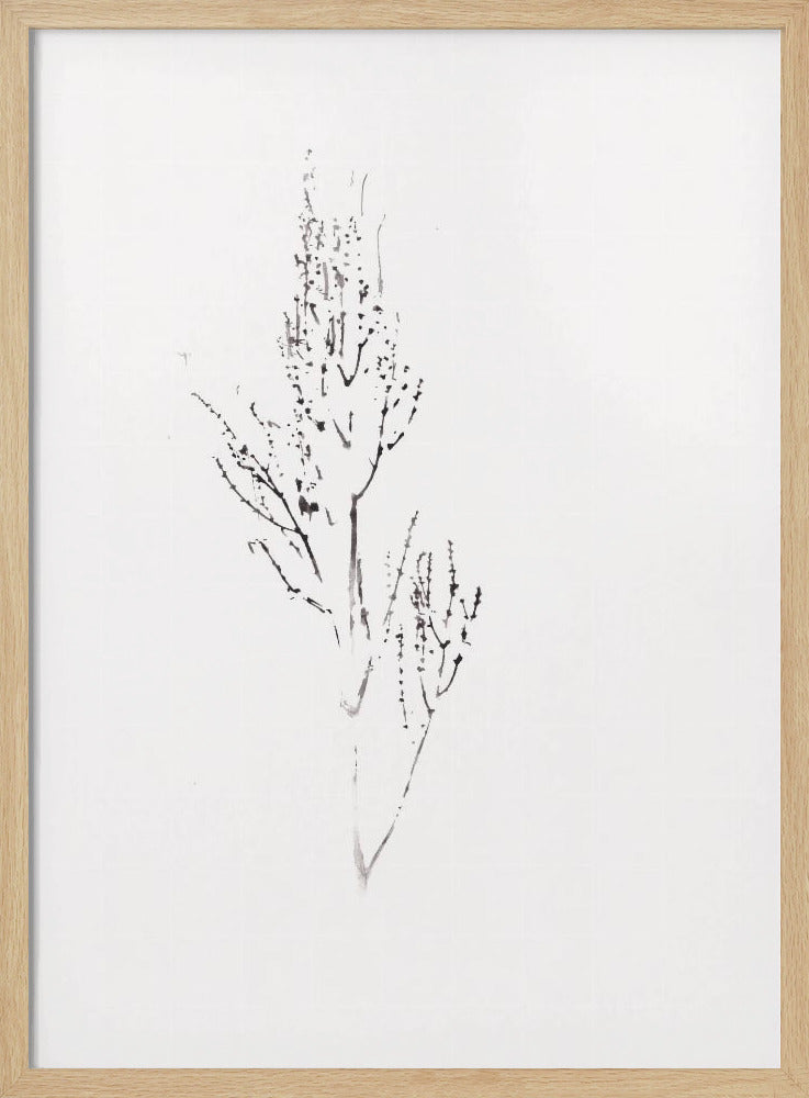 Pflanzen | Poster
