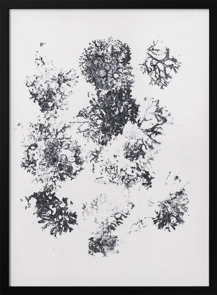 Plants II | Poster