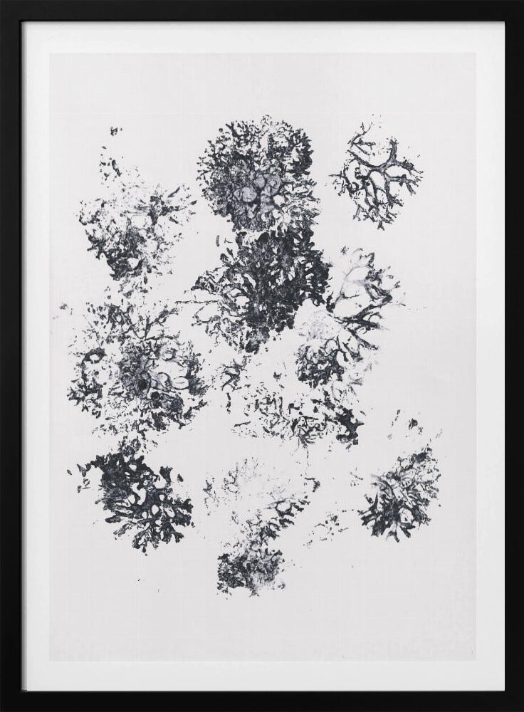Plants II | Poster