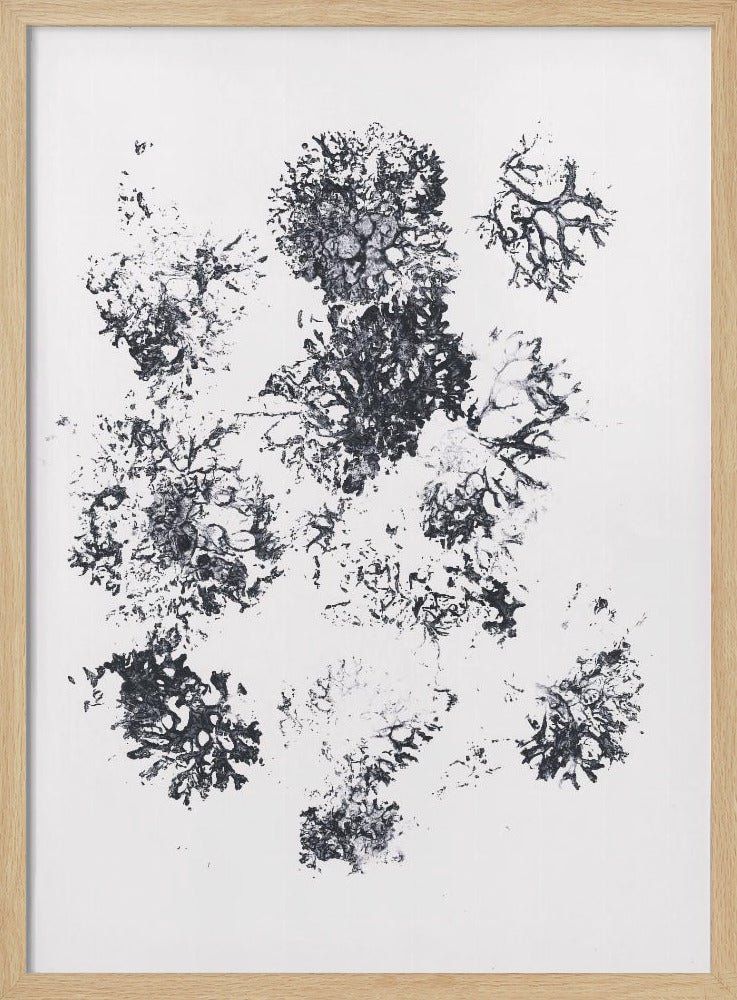 Plants II | Poster