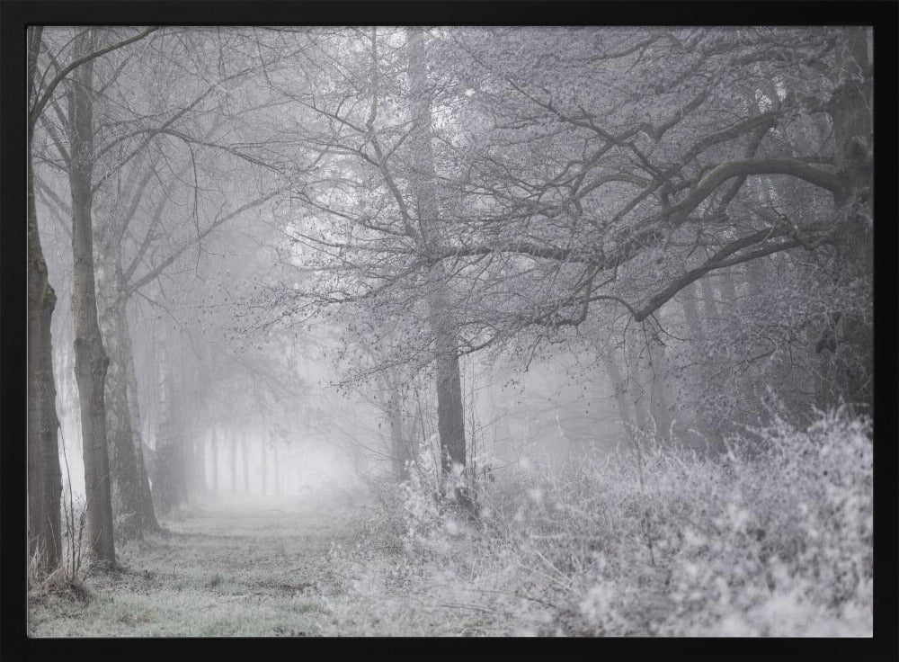 Nebliger Wintermorgen 1 | Poster
