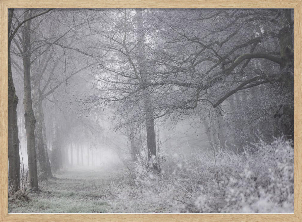 Nebliger Wintermorgen 1 | Poster
