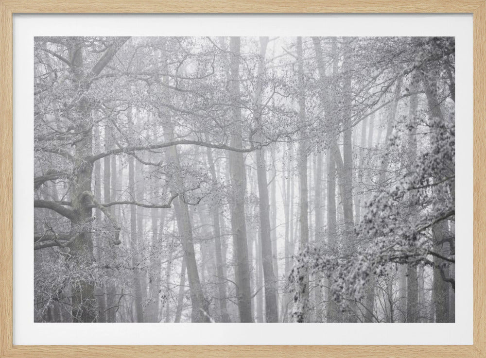 Nebliger Wintermorgen 2 | Poster