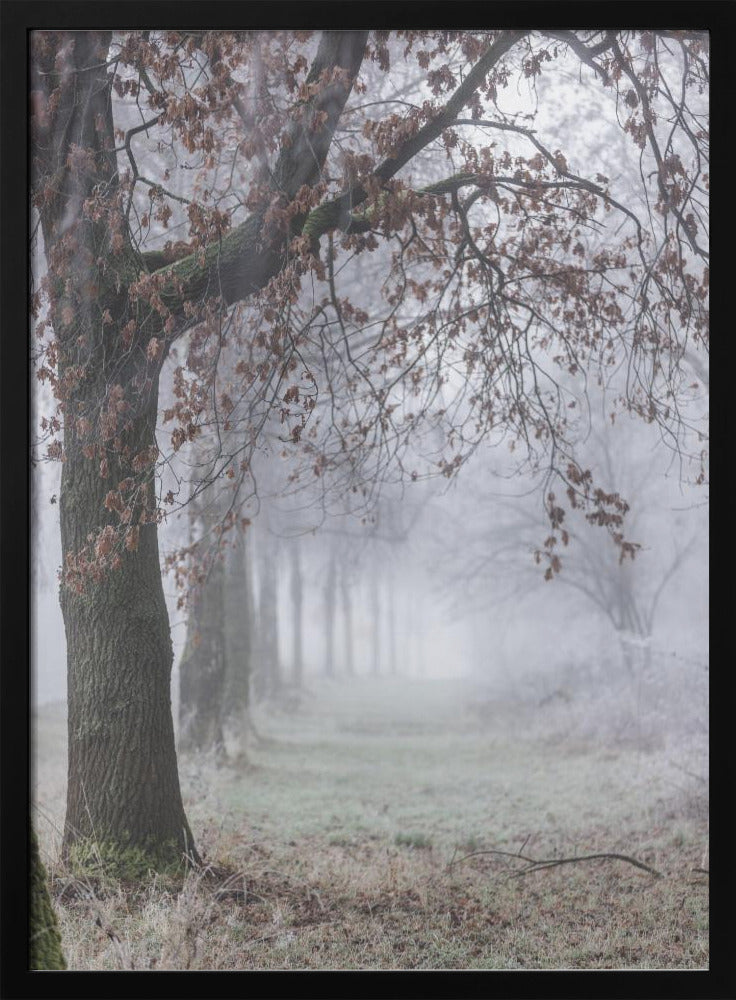 Nebliger Wintermorgen 3 | Poster
