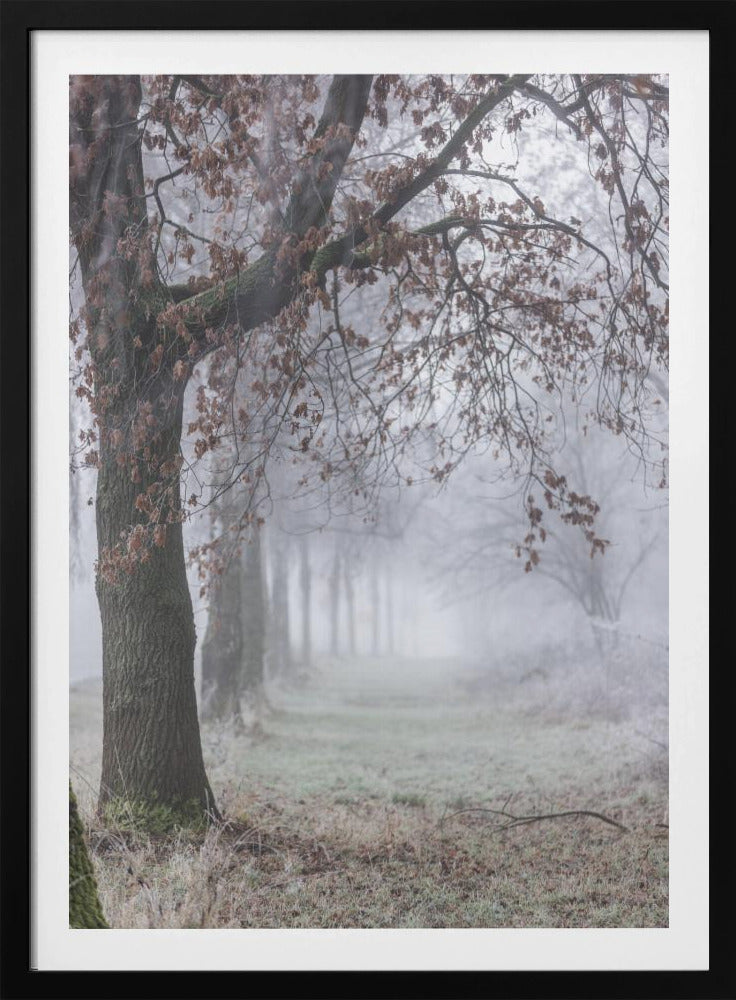 Nebliger Wintermorgen 3 | Poster