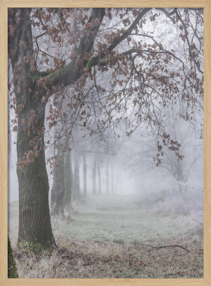 Nebliger Wintermorgen 3 | Poster