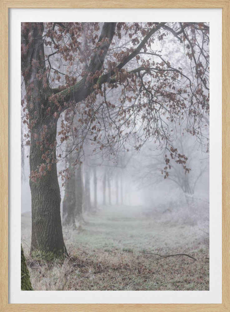 Nebliger Wintermorgen 3 | Poster