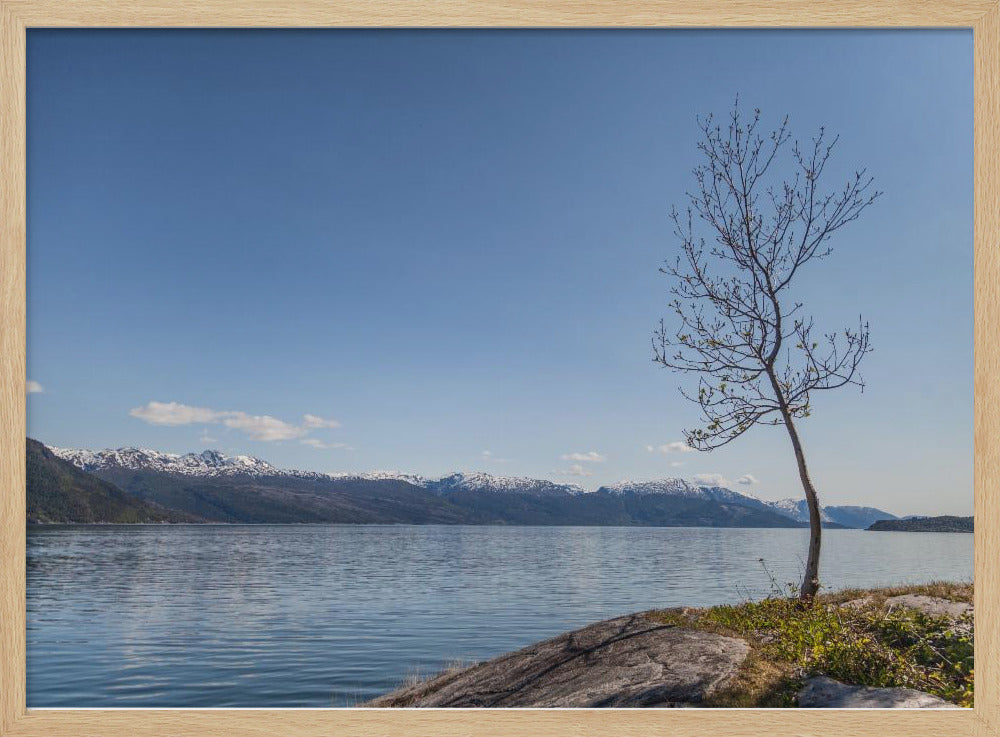 Irgendwo in Norwegen 3 | Poster