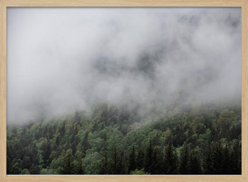 Irgendwo in Norwegen 5 | Poster