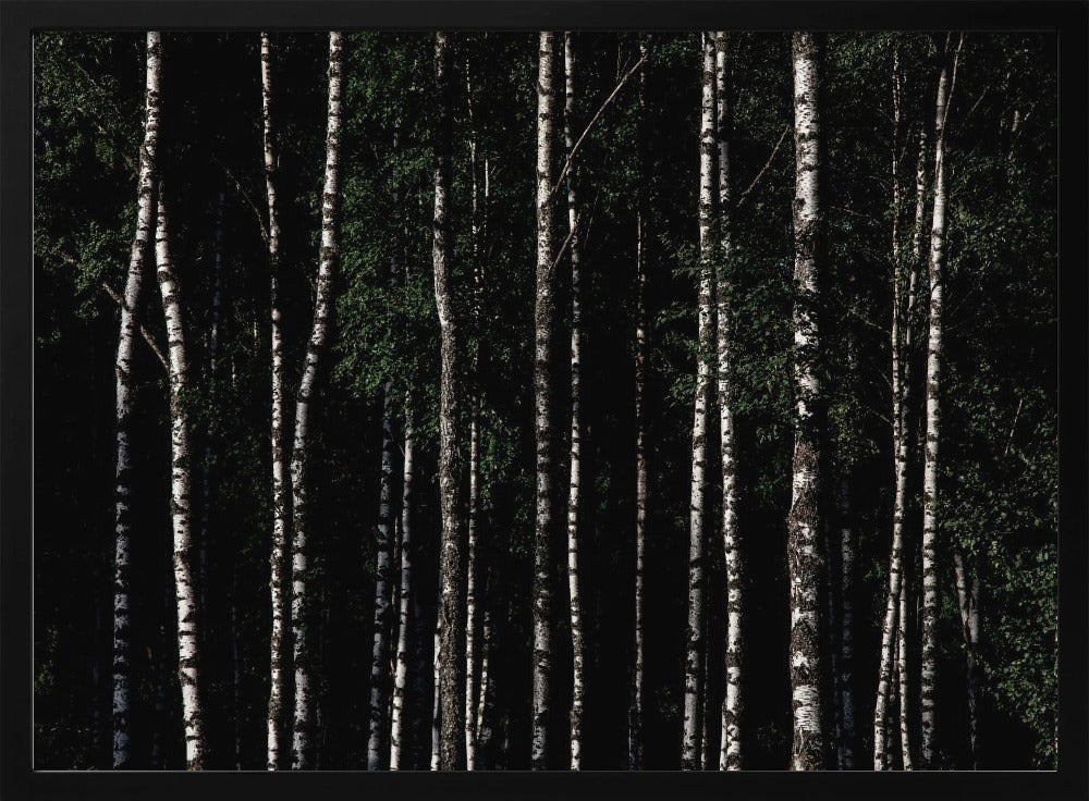 Irgendwo in Schweden 4 | Poster