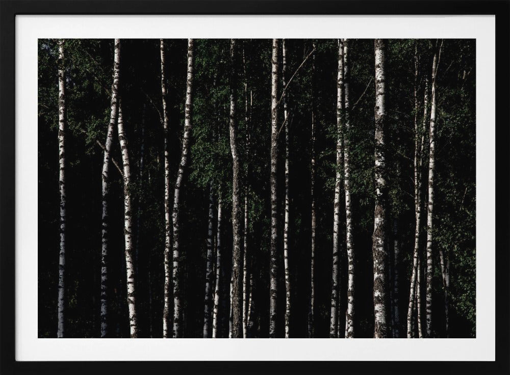 Irgendwo in Schweden 4 | Poster