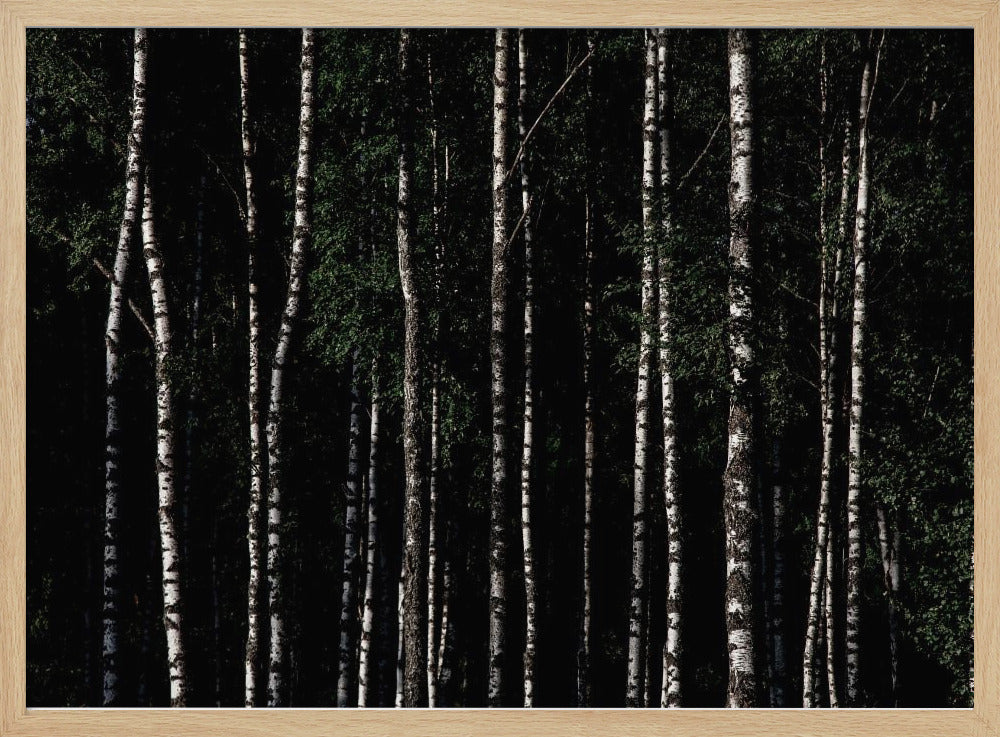 Irgendwo in Schweden 4 | Poster