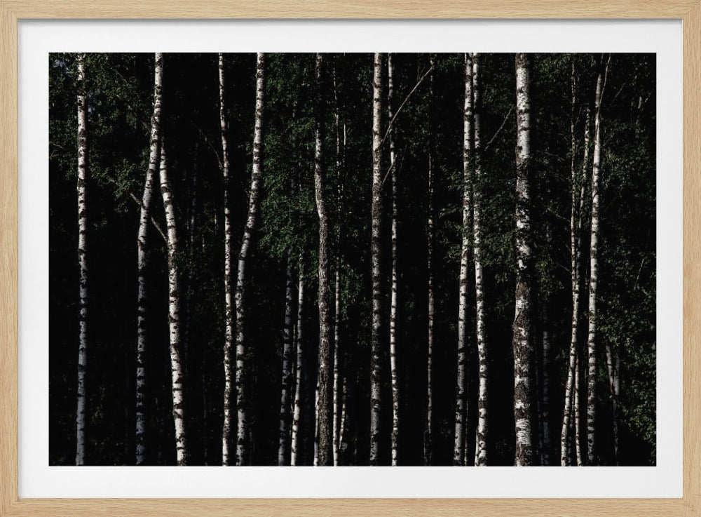 Irgendwo in Schweden 4 | Poster