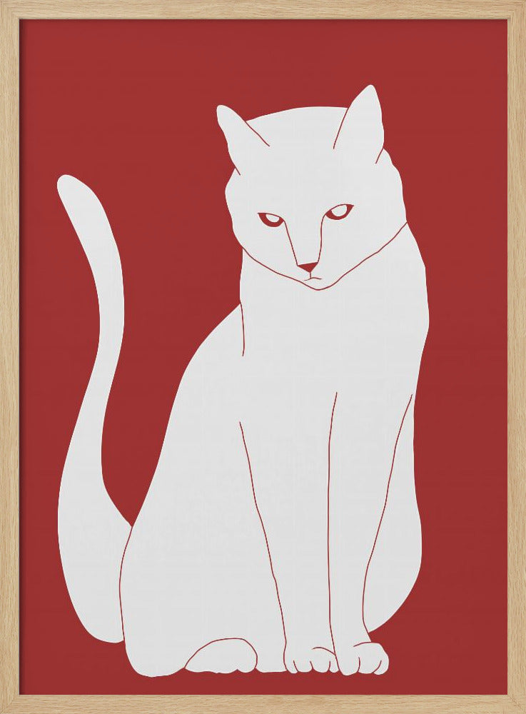 Weiße und rote Katze | Poster