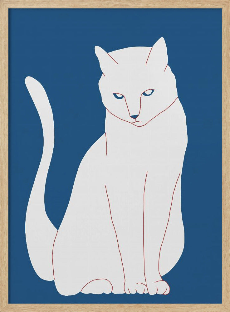 Weiße und blaue Katze | Poster
