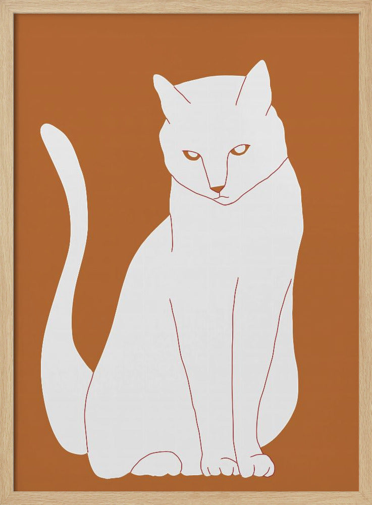 Weiße und orange Katze | Poster