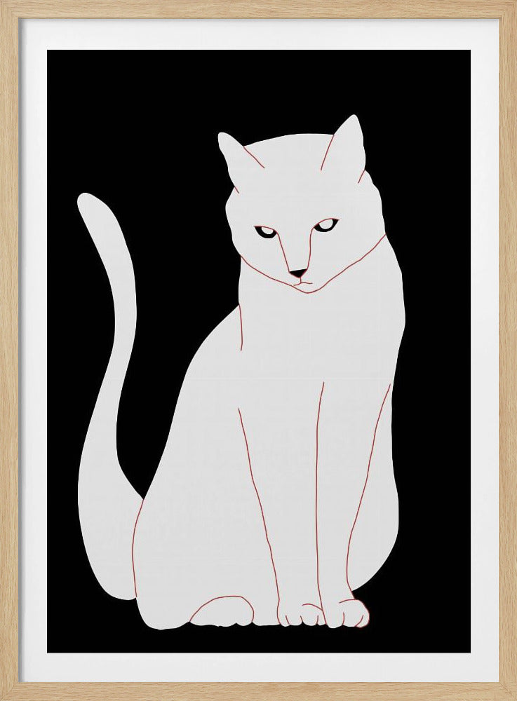 Weiße und schwarze Katze | Poster