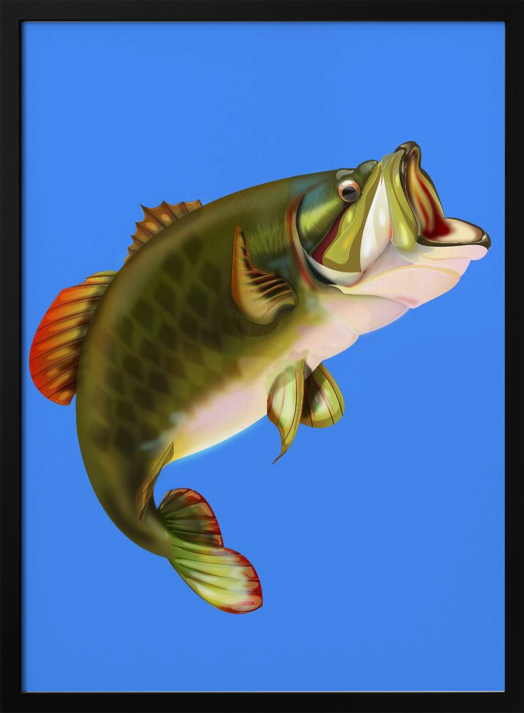 Bassfisch | Poster
