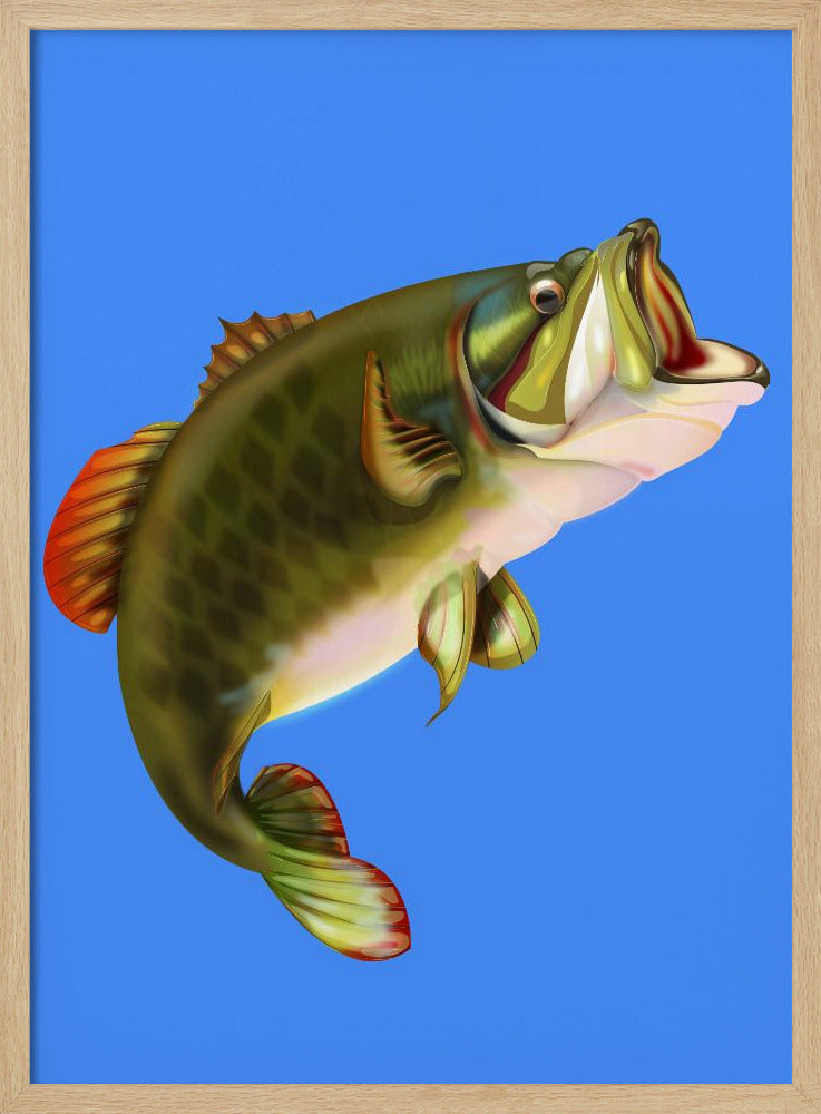 Bassfisch | Poster