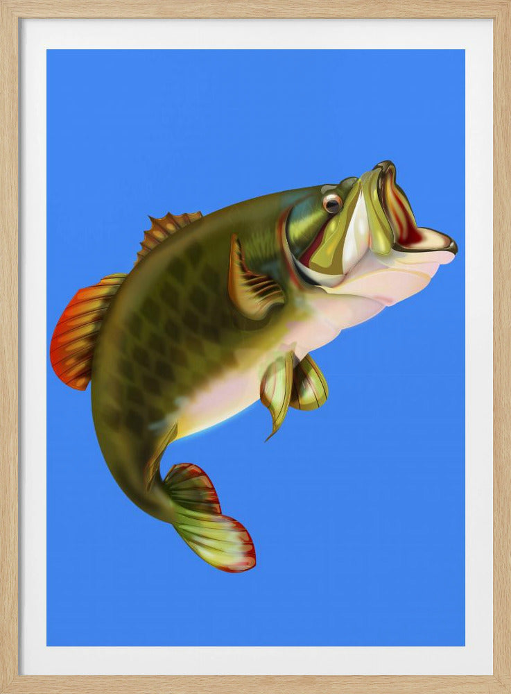 Bassfisch | Poster