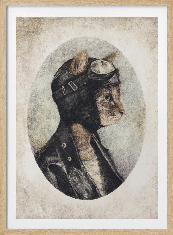 Stilvolle Katze in Lederjacke | Poster