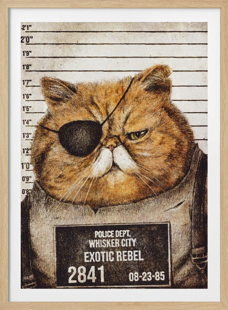 Lustige Katze | Poster