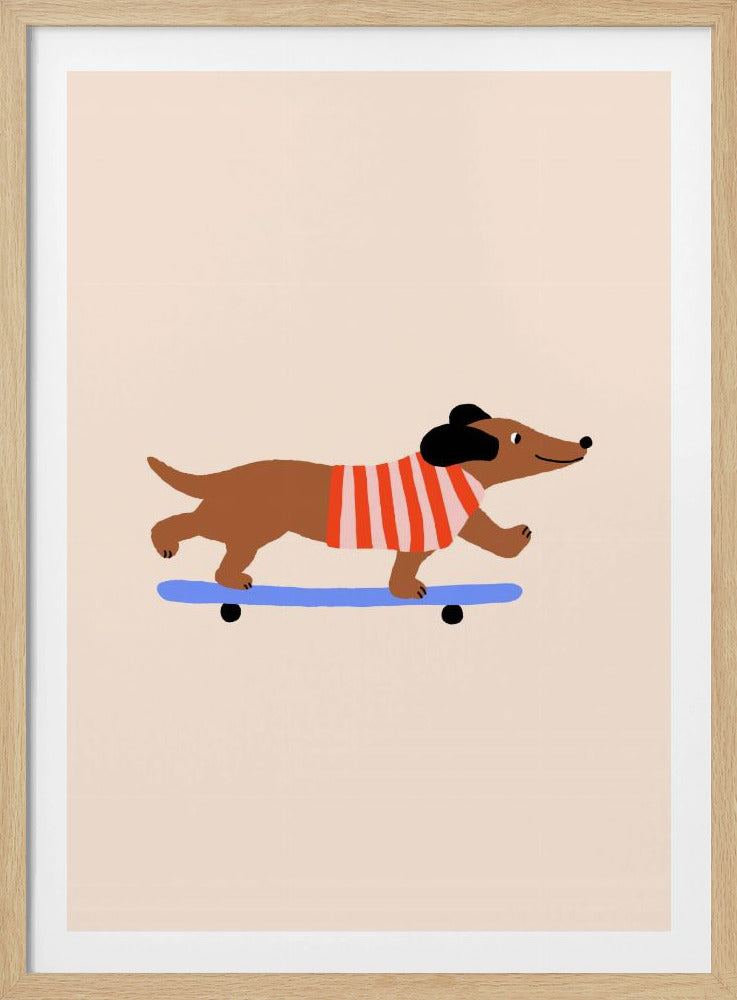 Dackel auf Skateboard | Poster