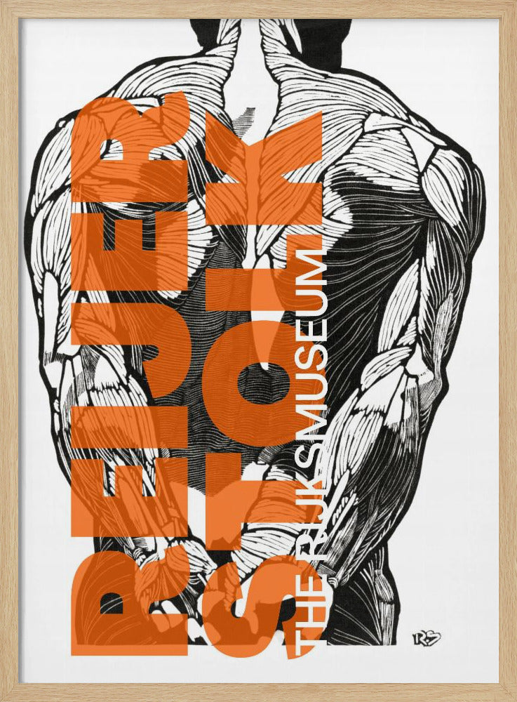 Anatomielinien | Poster