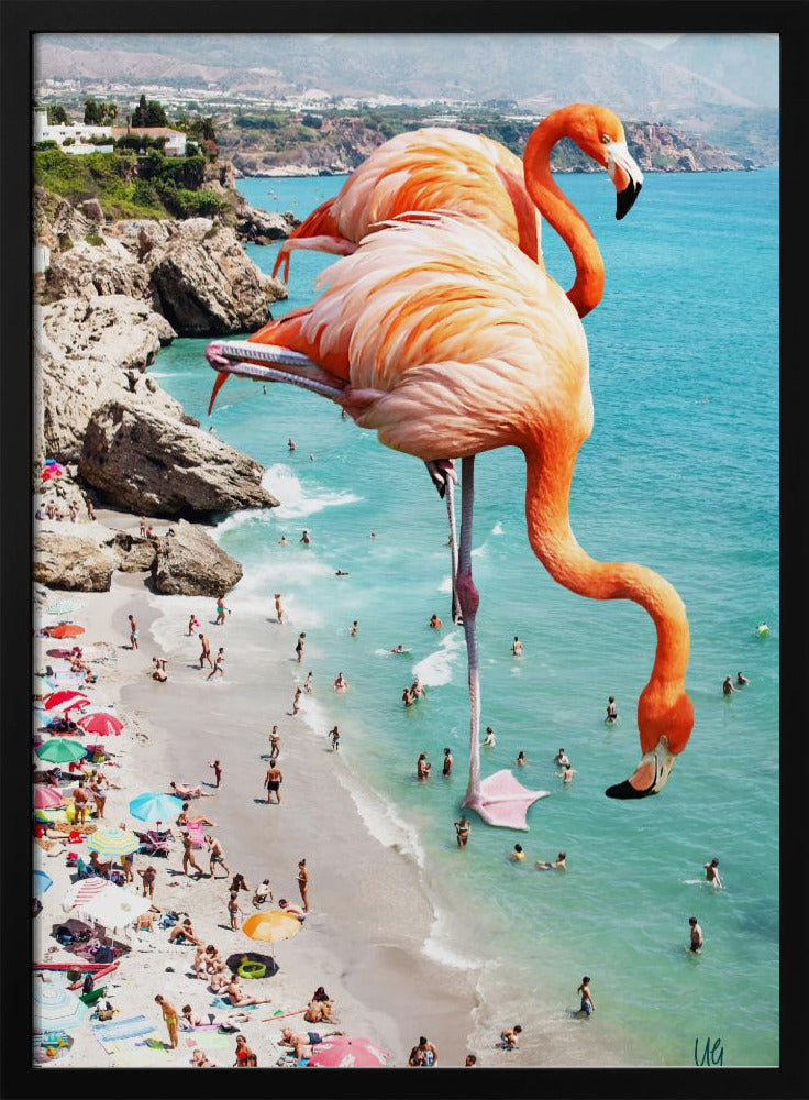 Flamingos am Strand | Poster