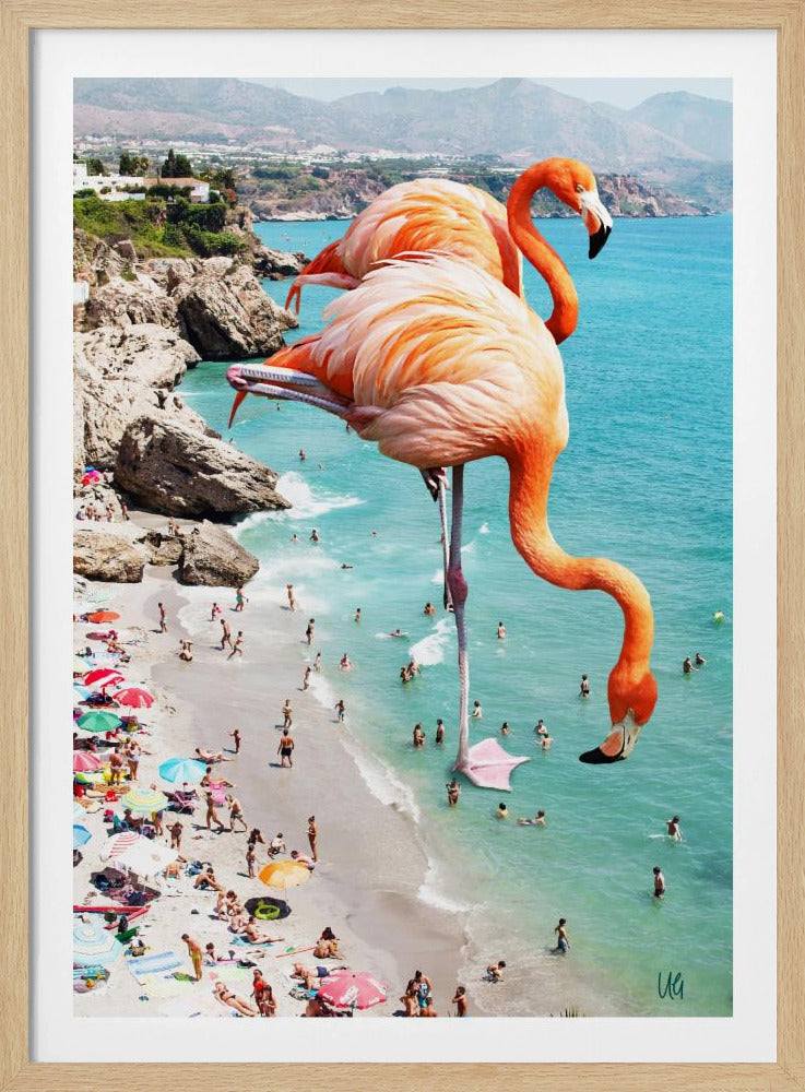 Flamingos am Strand | Poster