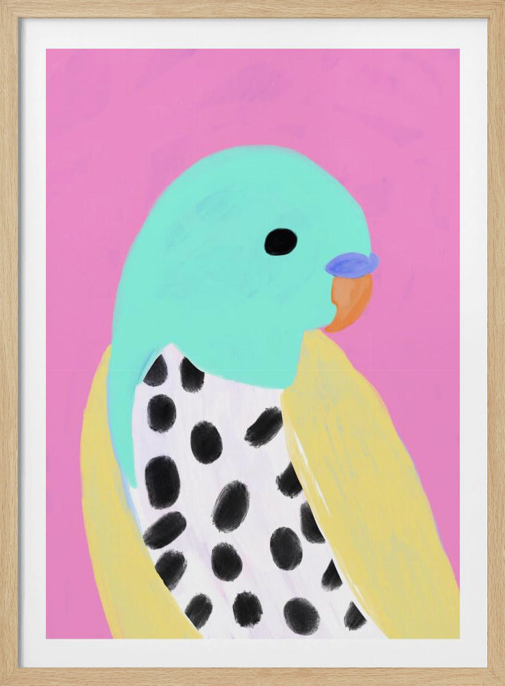 Gepunkteter Sittich | Poster