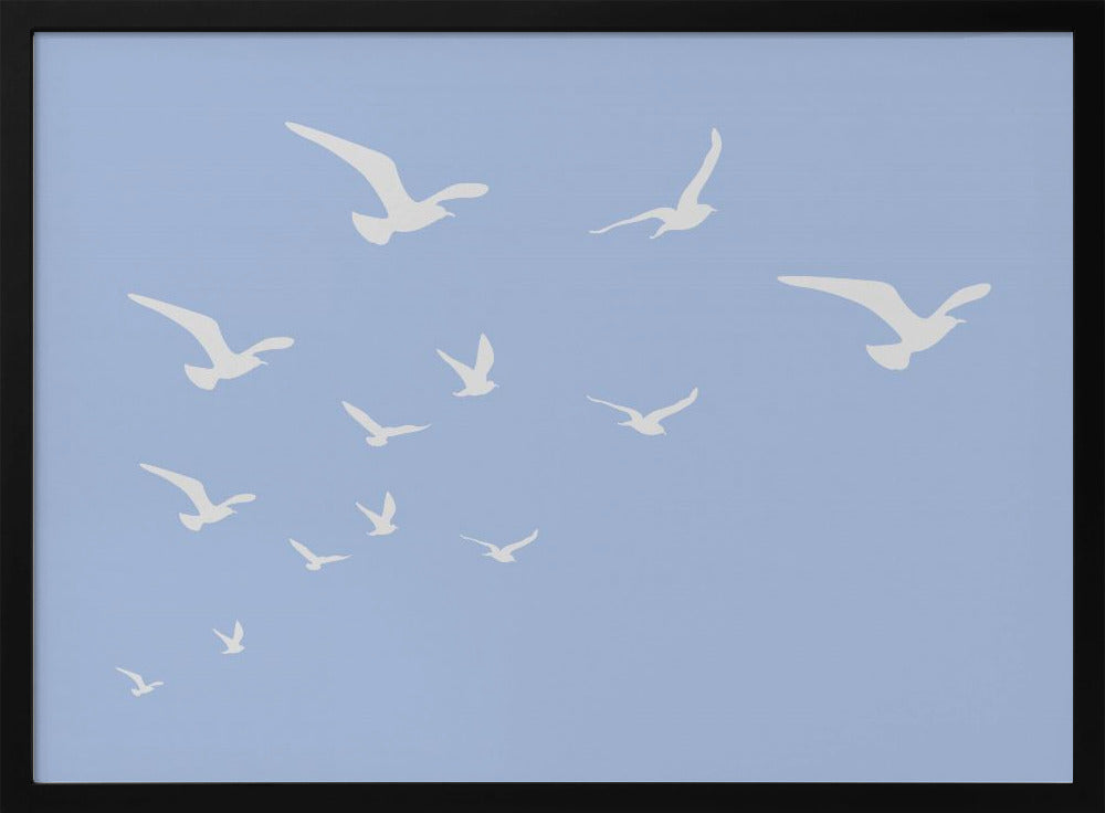 Möwen Blauer Hintergrund | Poster