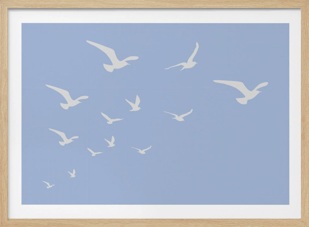 Möwen Blauer Hintergrund | Poster