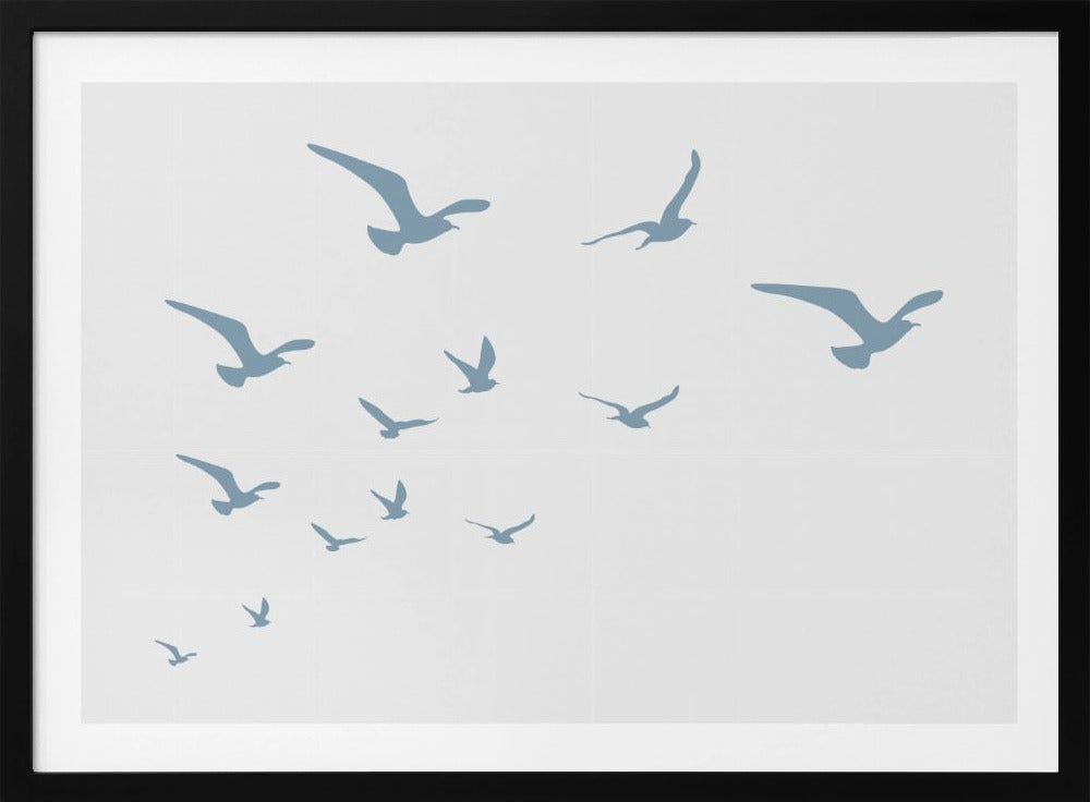 Möwen Weißer Hintergrund | Poster