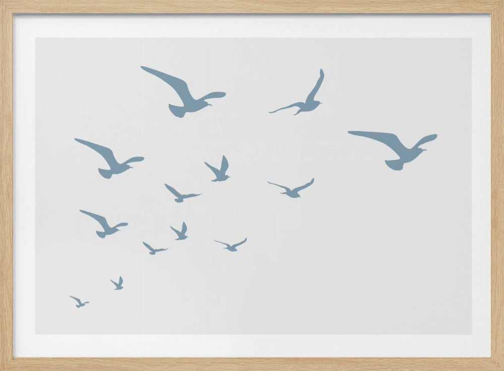 Möwen Weißer Hintergrund | Poster